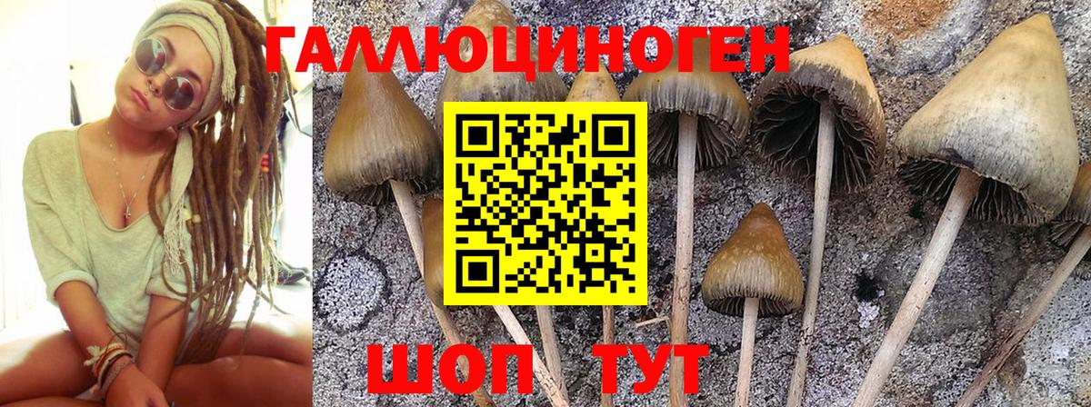 Псилоцибиновые грибы мицелий  Вход с VPN  Ревда 